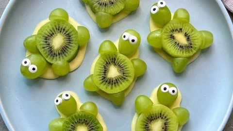 Fruit Turtles with White Chocolate