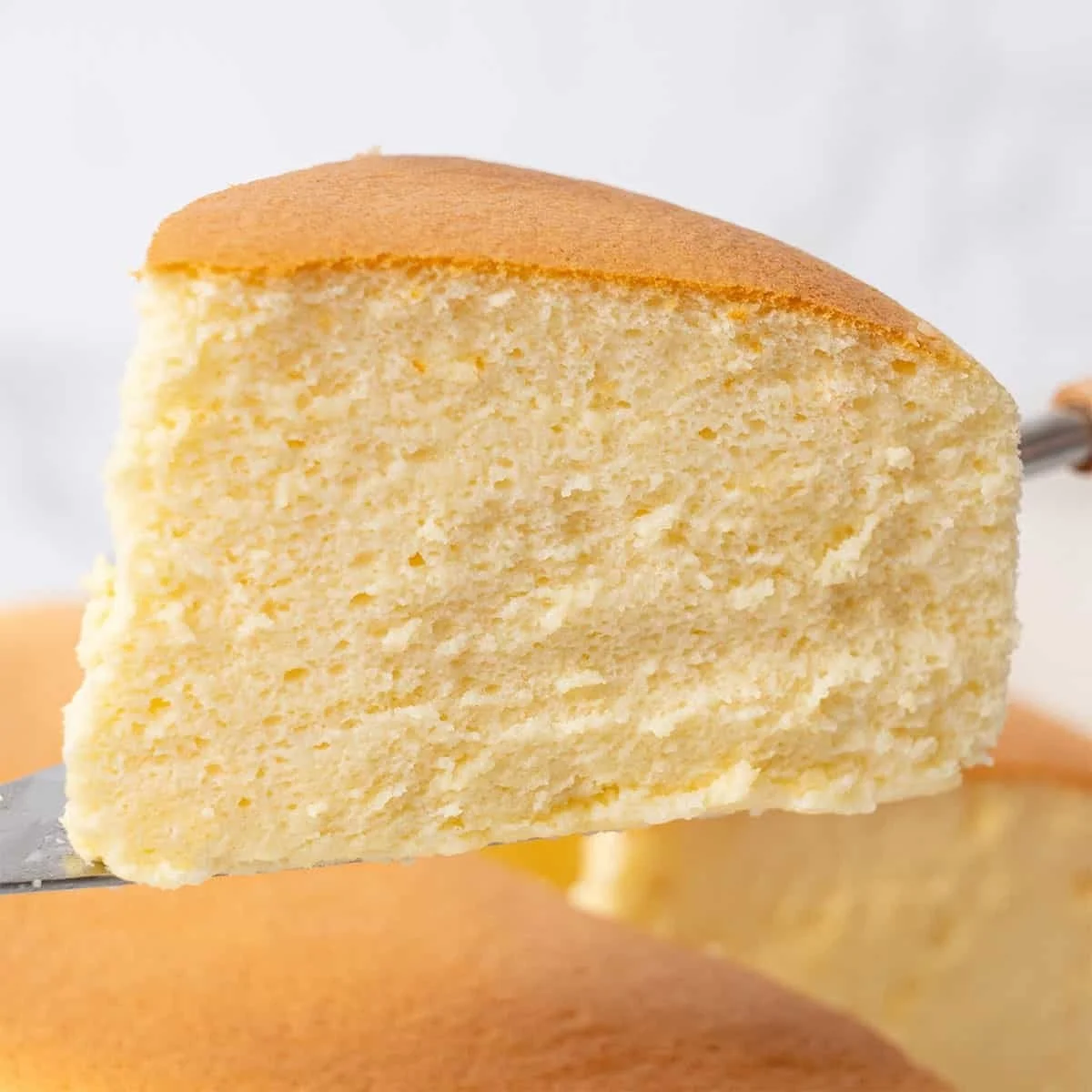 Classic Fluffy Japanese Cheesecake