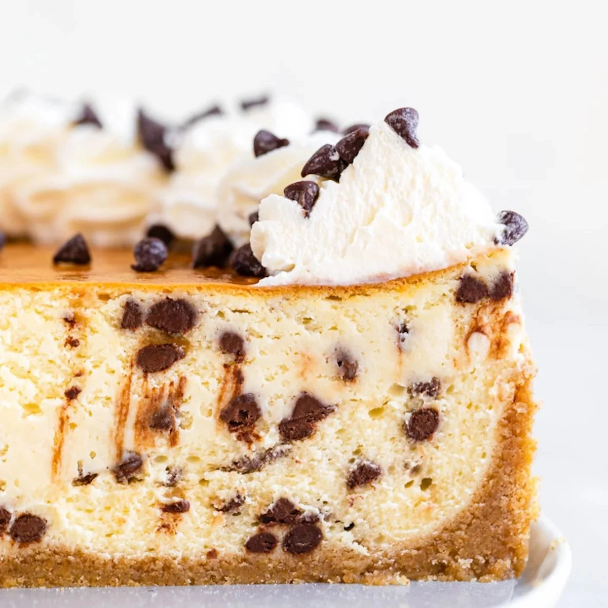 Whipped Cream Chocolate Chip Cheesecake