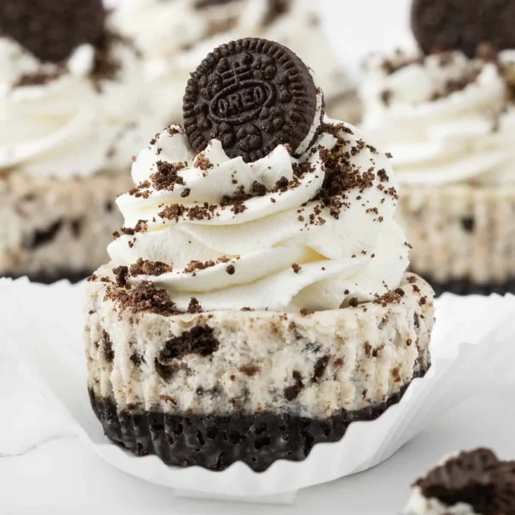 Make Mini Oreo Cheesecakes 4 make mini oreo cheesecakes 2026 07 08 181900 1024x1024 1